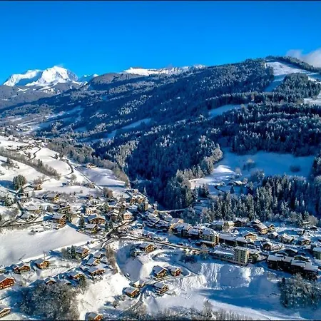 Les Portes Du Mont Blanc Appartement